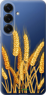 Силіконовий чехол Колоски пшениці для Samsung Galaxy S25 Plus - 5866u-3826 изображение 