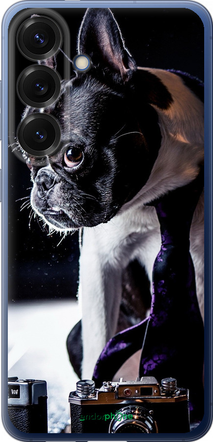 Силиконовый чехол Бульдог-фотограф для Samsung Galaxy S25 Plus - 142u-3826 изображение 