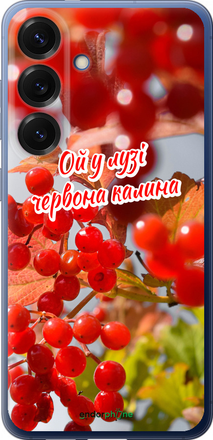 Силіконовий чехол Калина для Samsung Galaxy S25 Plus - 5454u-3826 изображение 