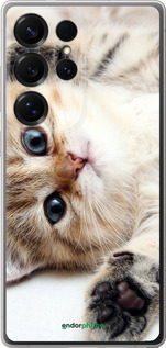 Силиконовый чехол Котик для Samsung Galaxy S25 Ultra - 6024u-3805 изображение 