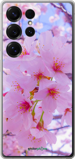 Силиконовый чехол Сакура для Samsung Galaxy S25 Ultra - 6029u-3805 изображение 