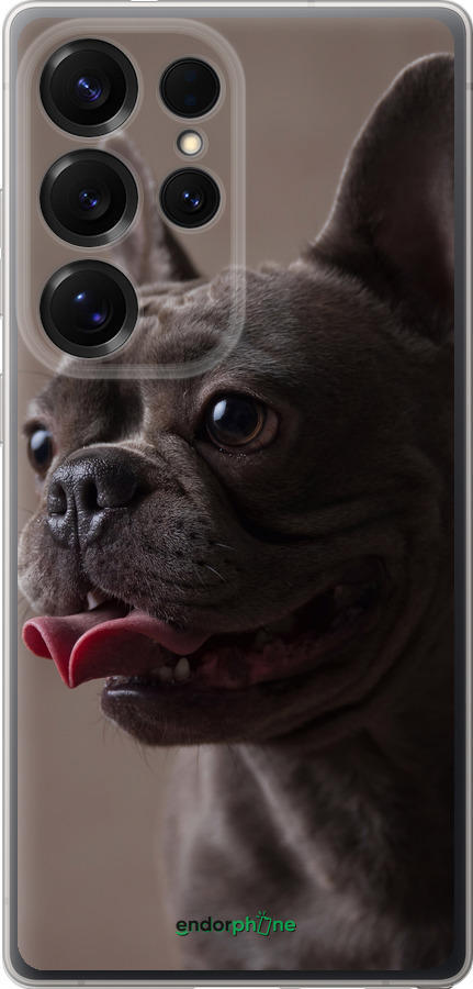 Силиконовый чехол Милый бульдог для Samsung Galaxy S25 Ultra - 5546u-3805 изображение 