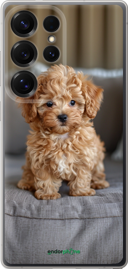Силиконовый чехол Mini-maltipoo для Samsung Galaxy S25 Ultra - 6158u-3805 изображение 