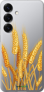 Силиконовый чехол Колоски пшеници для Samsung Galaxy S25 - 5866u-3804 изображение 