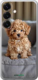 Силіконовий чехол Mini-maltipoo для Samsung Galaxy S25 - 6158u-3804 изображение 