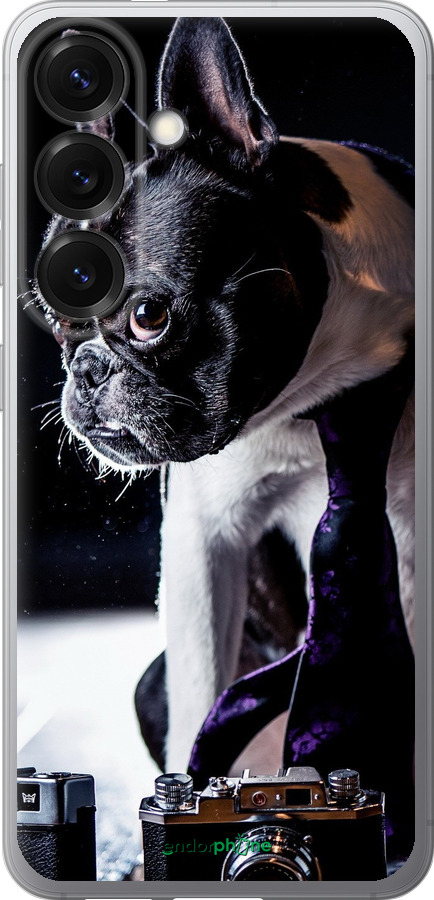 Силіконовий чехол Бульдог-фотограф для Samsung Galaxy S25 - 142u-3804 изображение 