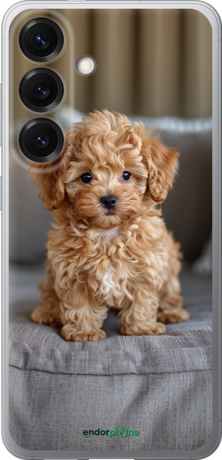 Силіконовий чехол Mini-maltipoo для Samsung Galaxy S25 - 6158u-3804 изображение 