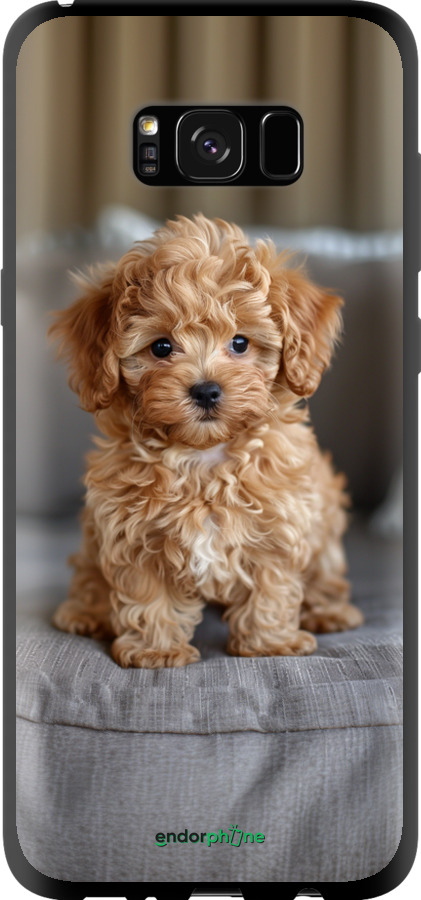TPU чехол Mini-maltipoo для Samsung Galaxy S8 Plus - 6158b-817 изображение 