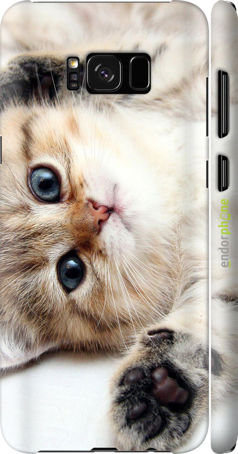 3D пластиковый матовый чехол Котик для Samsung Galaxy S8 - 6024m-829 изображение 