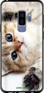 TPU чехол Котик для Samsung Galaxy S9 Plus - 6024b-1365 изображение 