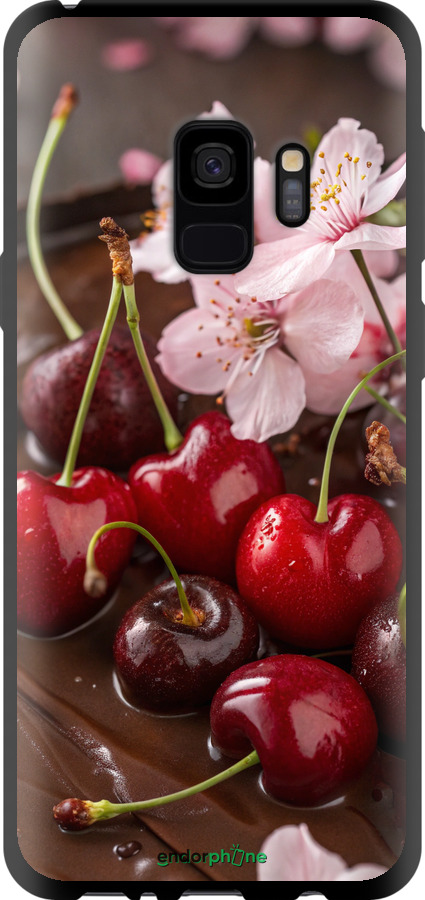 TPU чехол Вишня у шоколаді для Samsung Galaxy S9 - 6698b-1355 изображение 