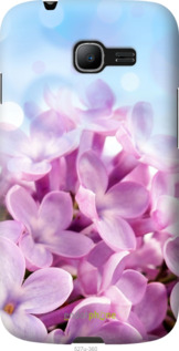 Силиконовый чехол Сирень для Samsung Galaxy Star Plus S7262 - 527u-360 изображение 