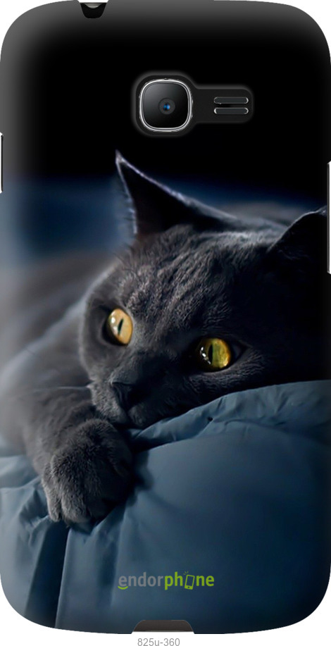 Силиконовый чехол Дымчатый кот для Samsung Galaxy Star Plus S7262 - 825u-360 изображение 