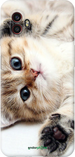 Силиконовый чехол Котик для Samsung Galaxy Xcover 6 Pro - 6024u-2918 изображение 