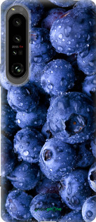 Силиконовый чехол Голубика для Sony Xperia 1 IV - 4459u-2787 изображение 