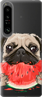 Силиконовый чехол Мопс и арбуз для Sony Xperia 1 IV - 4665u-2787 изображение 
