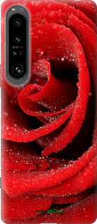 Силиконовый чехол Красная роза для Sony Xperia 1 IV - 529u-2787 изображение 