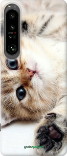 Силиконовый чехол Котик для Sony Xperia 1 IV - 6024u-2787 изображение 