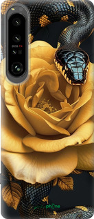Силіконовий чехол Black snake and golden rose для Sony Xperia 1 IV - 6068u-2787 изображение 