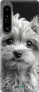 Силиконовый чехол Мальтипу на чорном фоне для Sony Xperia 1 IV - 6156u-2787 изображение 