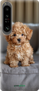 Силиконовый чехол Mini-maltipoo для Sony Xperia 1 IV - 6158u-2787 изображение 