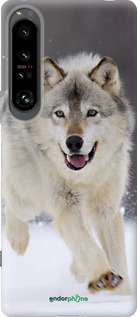 Силиконовый чехол Бегущий волк для Sony Xperia 1 IV - 826u-2787 изображение 