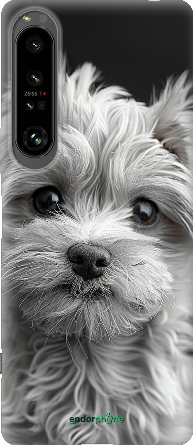 Силиконовый чехол Мальтипу на чорном фоне для Sony Xperia 1 IV - 6156u-2787 изображение 