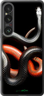 Силіконовий чехол Червоно-чорна змія на чорному фоні для Sony Xperia 1 VI - 4063u-3975 изображение 