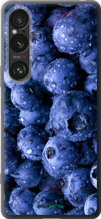 Силиконовый чехол Голубика для Sony Xperia 1 VI - 4459u-3975 изображение 