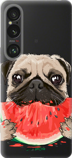 Силиконовый чехол Мопс и арбуз для Sony Xperia 1 VI - 4665u-3975 изображение 