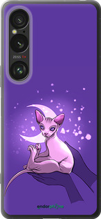 Силиконовый чехол Кот2 для Sony Xperia 1 VI - 4676u-3975 изображение 