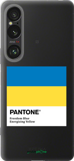 Силиконовый чехол Прапор Пантон для Sony Xperia 1 VI - 5275u-3975 изображение 