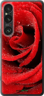 Силіконовий чехол Червона троянда для Sony Xperia 1 VI - 529u-3975 изображение 