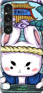 Силиконовый чехол № 5342 для Sony Xperia 1 VI - 5342u-3975 изображение 