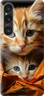 Силіконовий чехол Котики 2 для Sony Xperia 1 VI - 5664u-3975 изображение 