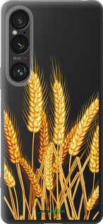 Силиконовый чехол Колоски пшеници для Sony Xperia 1 VI - 5866u-3975 изображение 