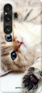 Силиконовый чехол Котик для Sony Xperia 1 VI - 6024u-3975 изображение 