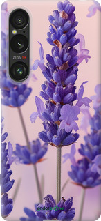 Силиконовый чехол Лаванда для Sony Xperia 1 VI - 6037u-3975 изображение 