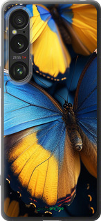 Силиконовый чехол Желто-голубые бабочки для Sony Xperia 1 VI - 6046u-3975 изображение 