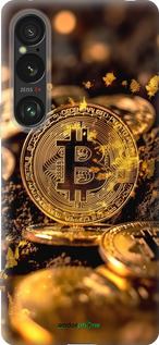 Силіконовий чехол Золота лихоманка біткойна для Sony Xperia 1 VI - 6089u-3975 изображение 