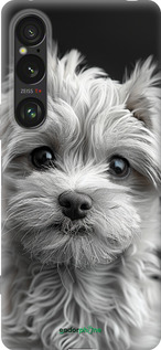 Силиконовый чехол Мальтипу на чорном фоне для Sony Xperia 1 VI - 6156u-3975 изображение 