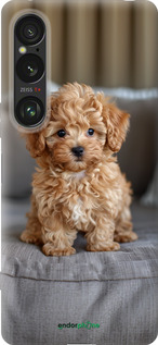 Силіконовий чехол Mini-maltipoo для Sony Xperia 1 VI - 6158u-3975 изображение 