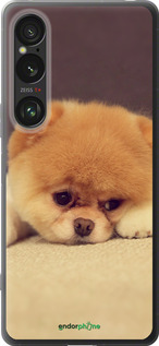 Силиконовый чехол Boo 2 для Sony Xperia 1 VI - 890u-3975 изображение 