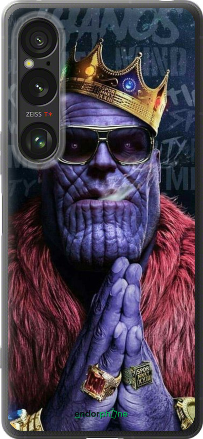 Силиконовый чехол № 5389 для Sony Xperia 1 VI - 5389u-3975 изображение 