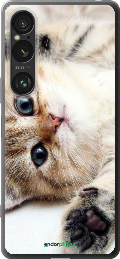 Силиконовый чехол Котик для Sony Xperia 1 VI - 6024u-3975 изображение 