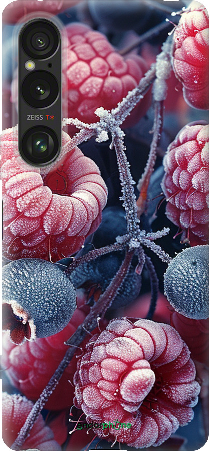 Силиконовый чехол Морозные ягоды для Sony Xperia 1 VI - 6033u-3975 изображение 