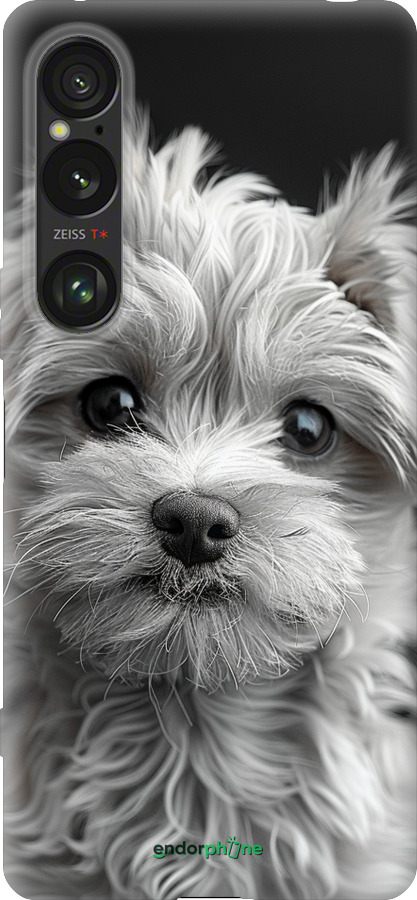 Силиконовый чехол Мальтипу на чорном фоне для Sony Xperia 1 VI - 6156u-3975 изображение 