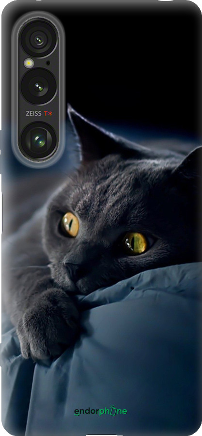 Силіконовий чехол Димчастий кіт для Sony Xperia 1 VI - 825u-3975 изображение 