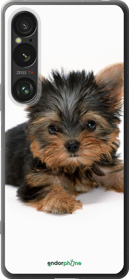 Силиконовый чехол Щенок йоркширского терьера для Sony Xperia 1 VI - 931u-3975 изображение 