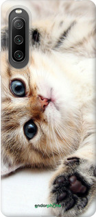 Силіконовий чехол Котик для Sony Xperia 10 IV - 6024u-2789 изображение 